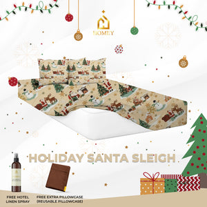 Holiday Santa Sleigh