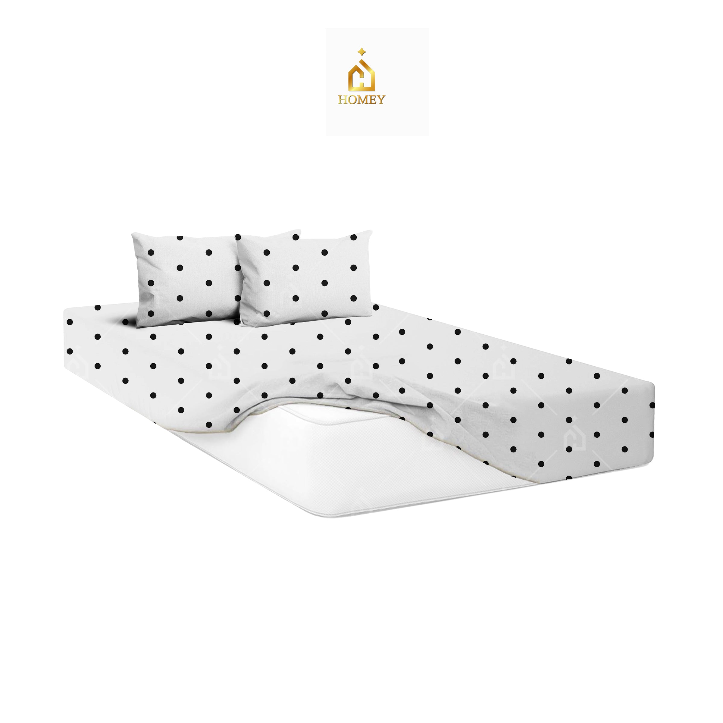 Homey January Exclusive Collection